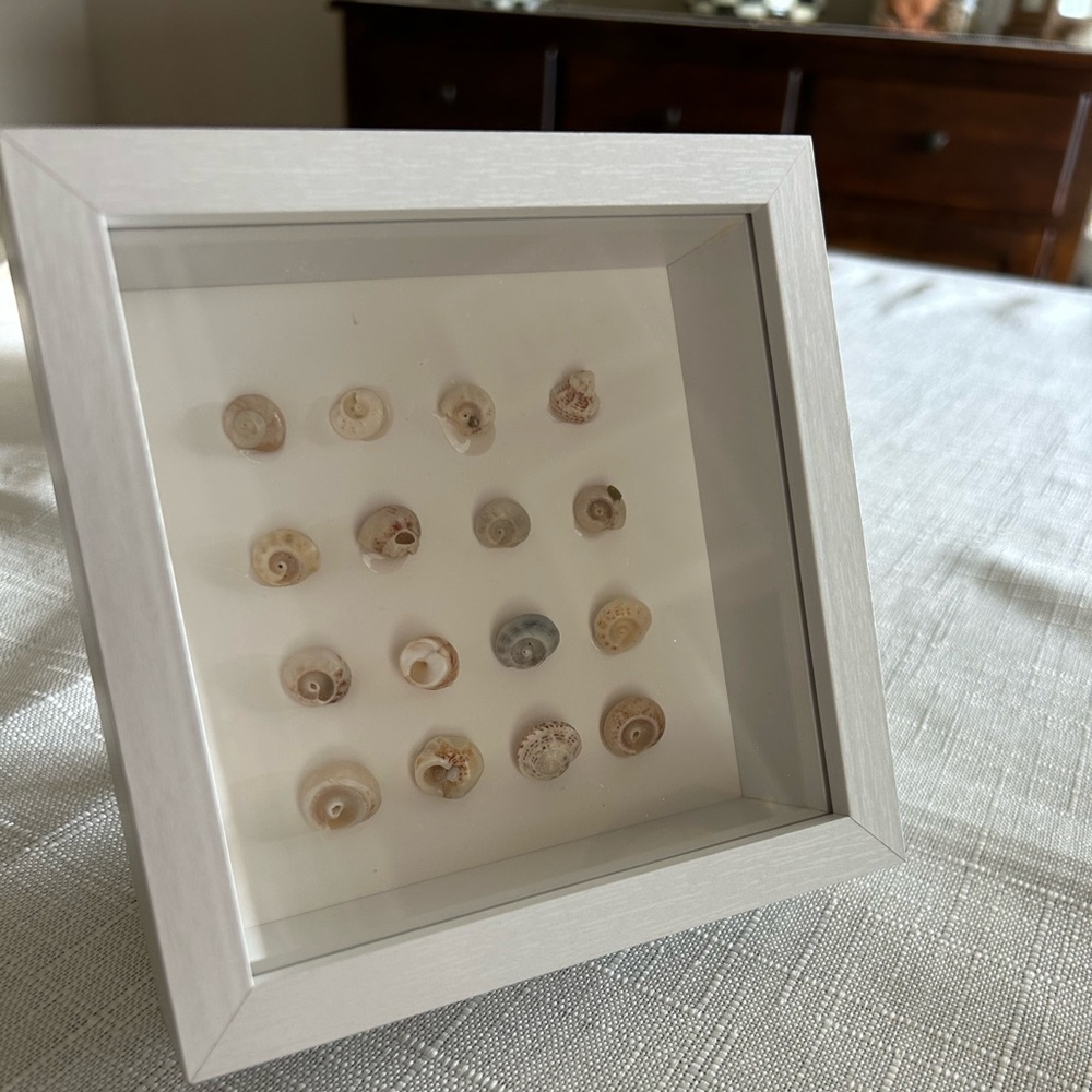 Handmade Framed Shell Art